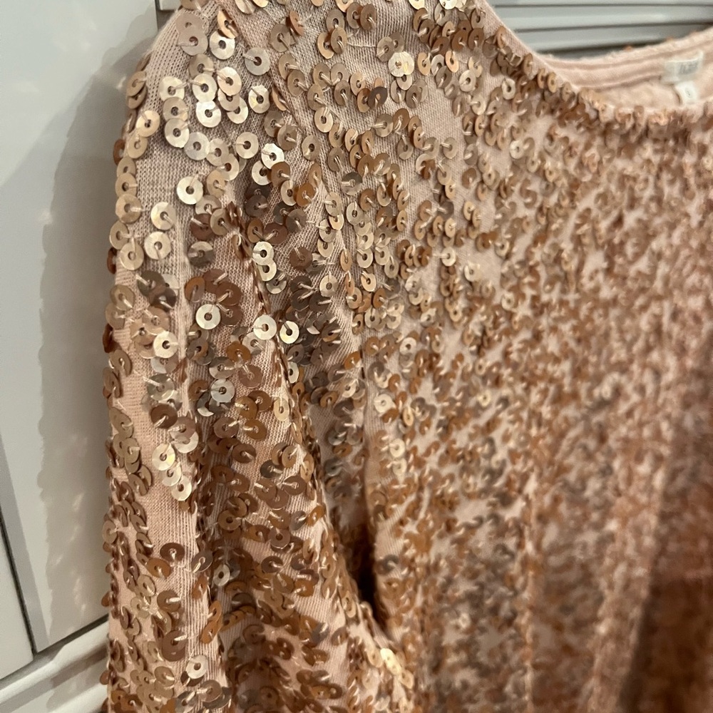 J Crew Sequin Embellished Top